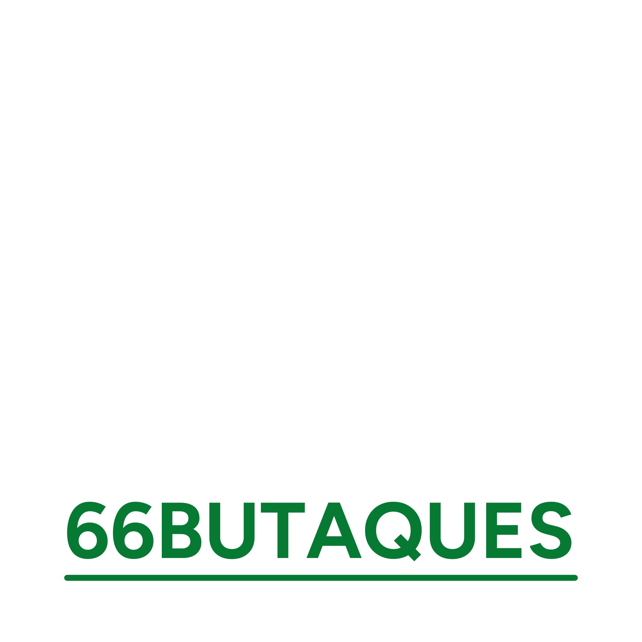 66 Butaques